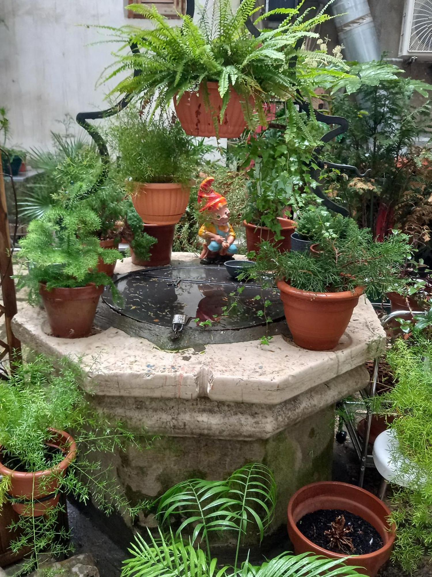 Bunari Studio Apartment Rovinj Ngoại thất bức ảnh